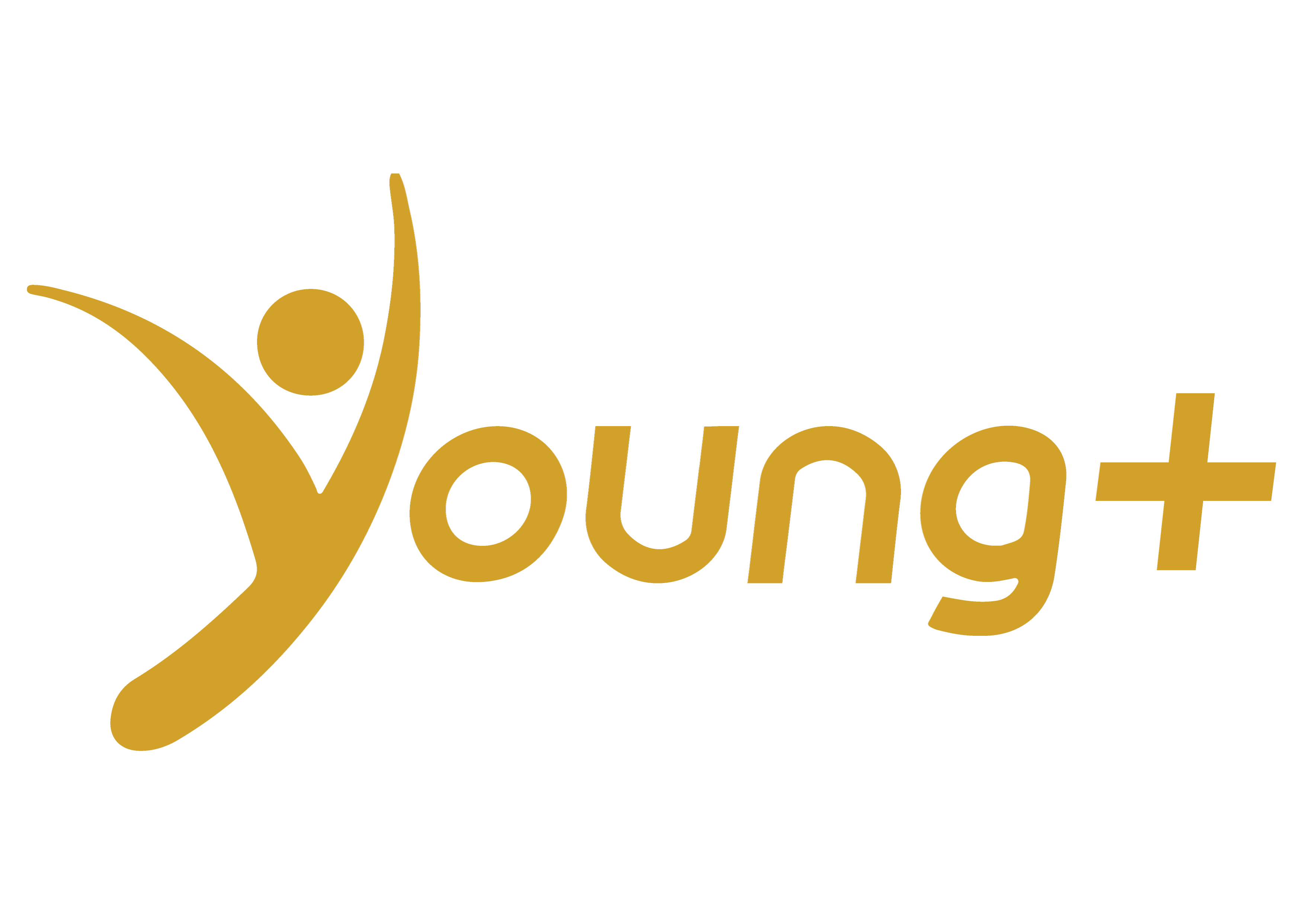 Young Plus USA